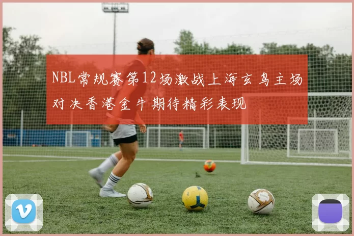 NBL常规赛第12场激战上海玄鸟主场对决香港金牛期待精彩表现